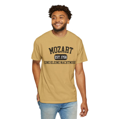 Mozart Eine Kleine Nachtmusik Classical Music T-Shirt