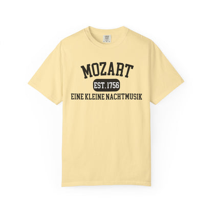 Mozart Eine Kleine Nachtmusik Classical Music T-Shirt